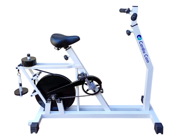 CCiclo Vertical